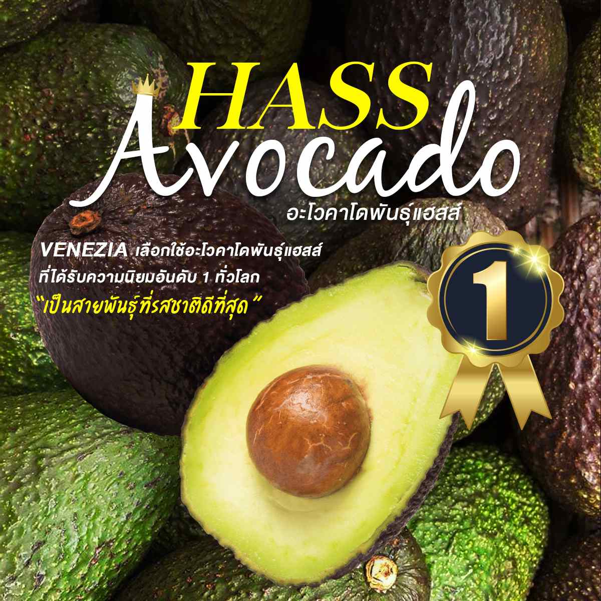 Hass Avocado - อะโวคาโดสายพันธุ์แฮสส์